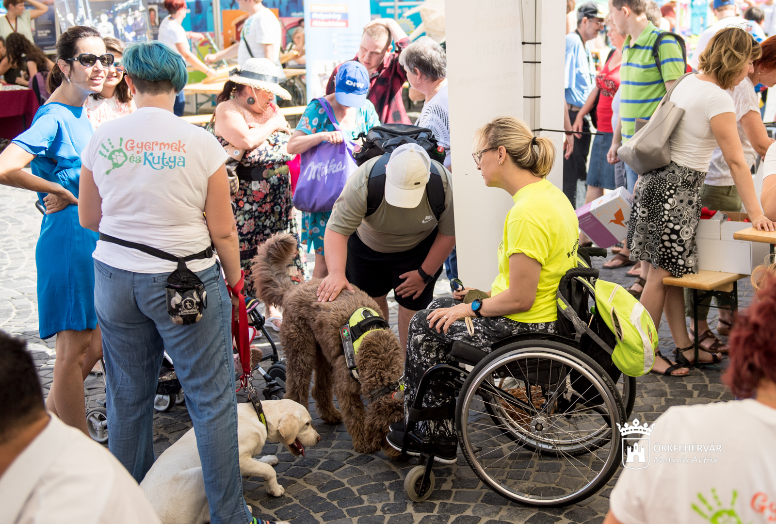 „Helyünk a világban” - szerdán a Zichy-ligetben lesz az Esélynap